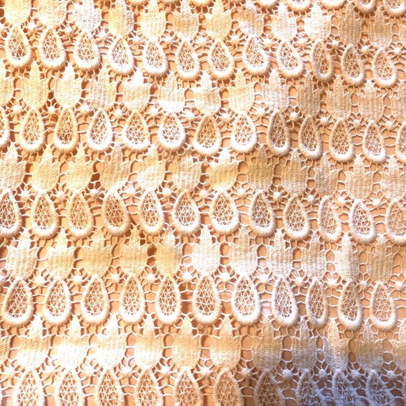 Elegant Lace Tan Skirt - Picture 3 of 4